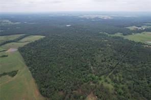 TBD County Road 461 - Photo 1