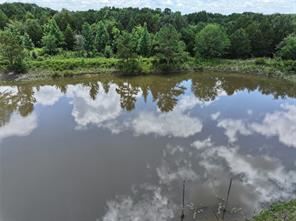 3843 Fm 1256 - Photo 1