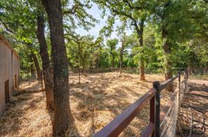 923 Natty Flat Road - Photo 10