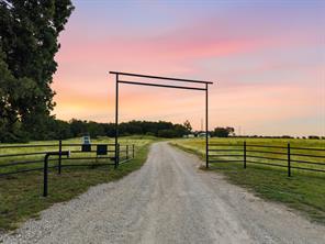 923 Natty Flat Road - Photo 3