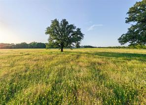 923 Natty Flat Road - Photo 34