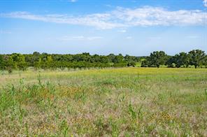 923 Natty Flat Road - Photo 37