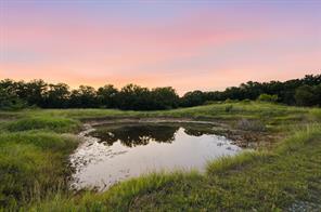 923 Natty Flat Road - Photo 5