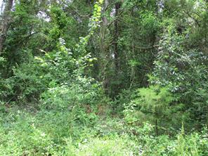 TBD ROBINSON Street - Photo 3