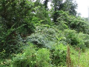 TBD ROBINSON Street - Photo 4