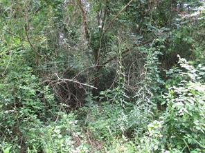 TBD ROBINSON Street - Photo 5