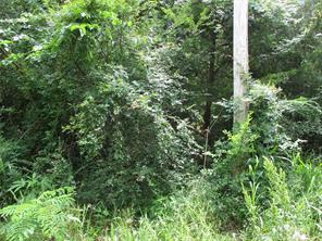 TBD ROBINSON Street - Photo 6