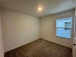 924 Sandhill Crane Lane - Photo 9