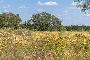 8380 Fm 585 - Photo 20