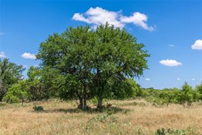 8380 Fm 585 - Photo 6