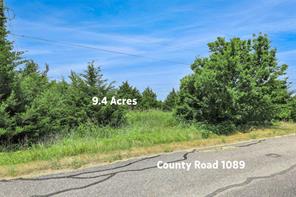 TBD County Road 1089 - Photo 10