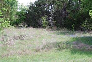 45011 Fringewood Drive - Photo 2