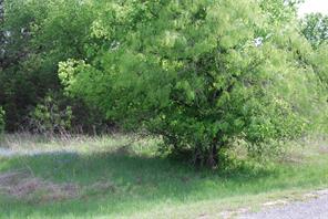 45011 Fringewood Drive - Photo 3