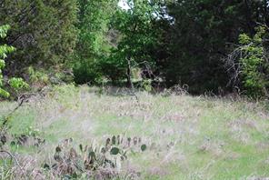 45011 Fringewood Drive - Photo 4