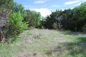 45011 Fringewood Drive - Photo 5