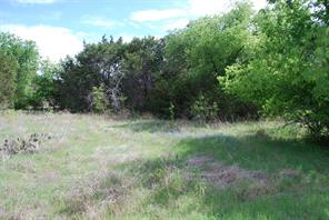 45011 Fringewood Drive - Photo 6