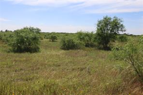 807 County Road 215 - Photo 1