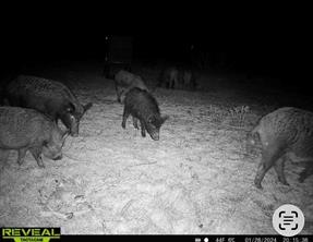 2607 US 380 East - Photo 38