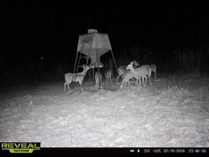 2607 US 380 East - Photo 40