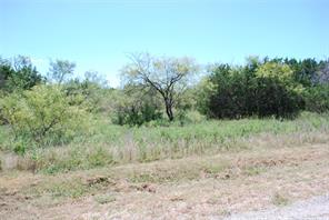 43131 Mountain Sage Drive - Photo 3