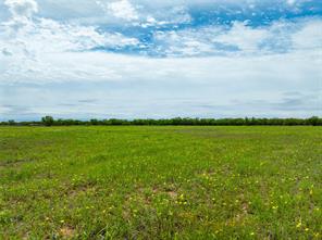 Tbd FM 2404 - Photo 11