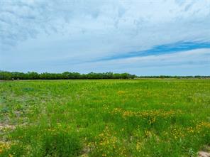 Tbd FM 2404 - Photo 15