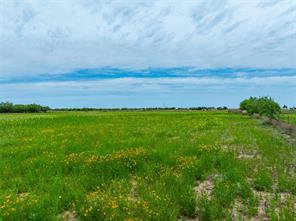 Tbd FM 2404 - Photo 16