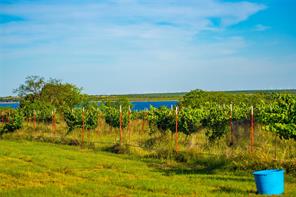 15051 Lake Ivie Drive - Photo 15