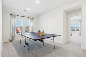12895 Red Hawk Drive - Photo 20