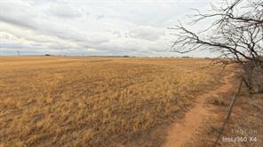 TDB Daniels Road - Photo 2