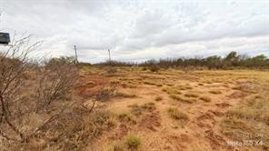 TDB Daniels Road - Photo 3