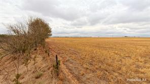 TDB Daniels Road - Photo 5