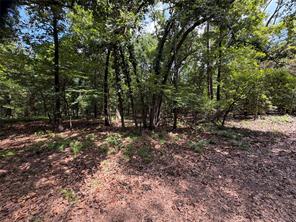 Lot 29 & 30 King Arthur Court - Photo 1