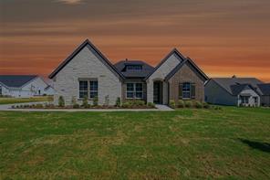 437 Texas Sage Trail - Photo 1