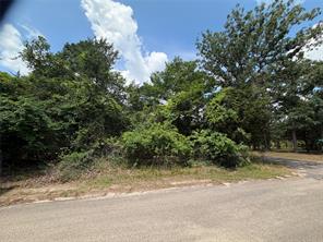 TBD King Lake Road - Photo 1