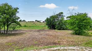 11608 County Road 950 - Photo 6