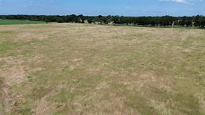 15901 County Road 1030 - Photo 10