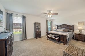 10121 Table Bluff Street - Photo 10