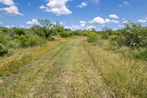 1171 County Road 315 - Photo 12