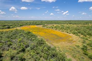 1171 County Road 315 - Photo 16