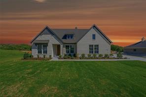 441 Texas Sage Trail - Photo 1