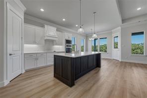 441 Texas Sage Trail - Photo 10