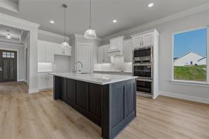 441 Texas Sage Trail - Photo 11