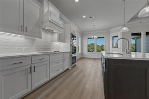 441 Texas Sage Trail - Photo 13