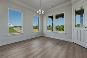 441 Texas Sage Trail - Photo 14