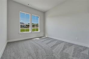 441 Texas Sage Trail - Photo 16