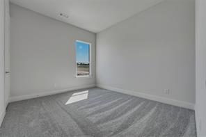 441 Texas Sage Trail - Photo 17