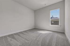 441 Texas Sage Trail - Photo 18