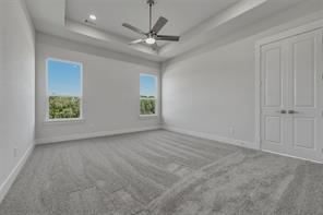 441 Texas Sage Trail - Photo 19