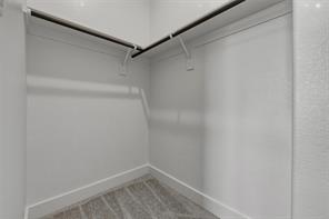 441 Texas Sage Trail - Photo 22
